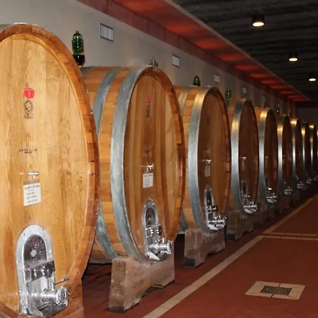 Cordella In Wine *